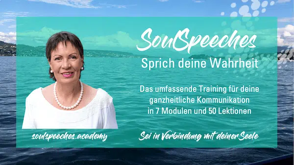 Produktbild-SSP-Angebotsseite-600x337-87.6-kb